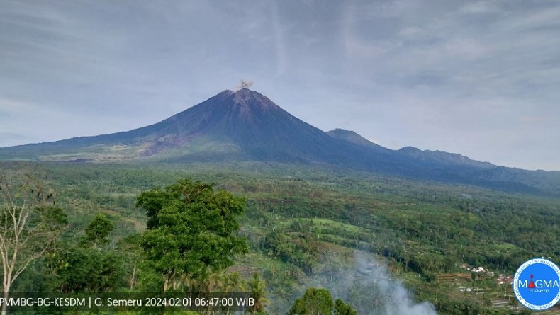 Gunung Semeru Erupsi Kamis Pagi Ini, Tinggi Kolom Abu 500 Meter di Atas Puncak