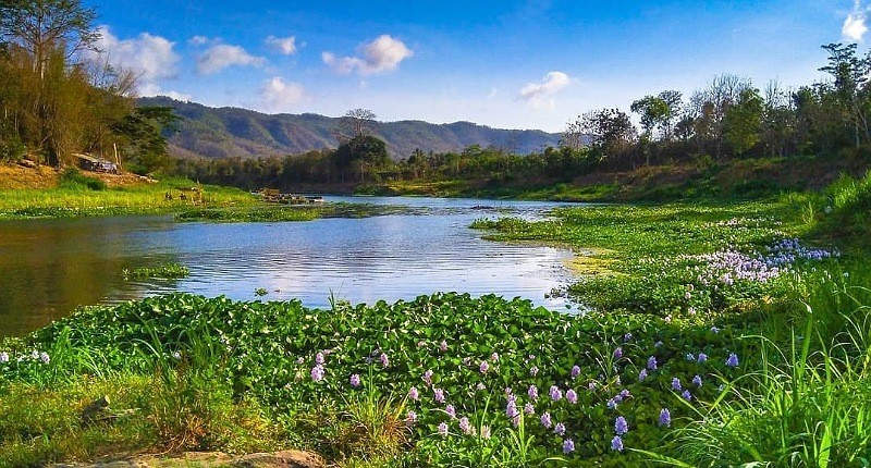 Kampung Unik di Yogyakarta, Singgah ke Desa Kecilnya Punya Suasana seperti di Jepang
