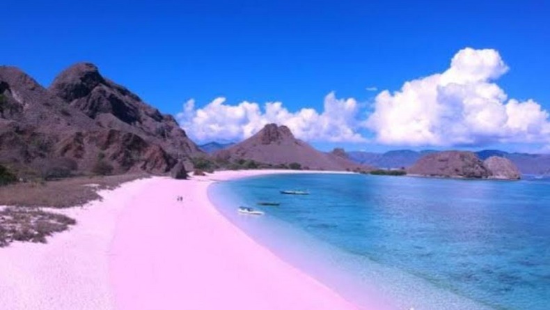 Turis China Tewas di Pantai Pink TN Komodo, Diduga Kelelahan usai Snorkeling
