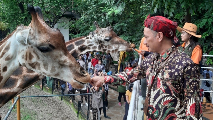 Kebun Binatang Surabaya Bakal Lengkapi Fasilitas Ini untuk Memanjakan Wisatawan