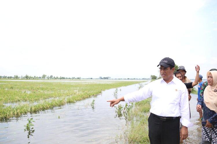 Mentan dan Menko PMK Jalin Kolaborasi, Bantu Petani yang Terdampak Banjir