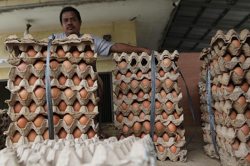 Mentan Amran bakal Tindak Pemain Harga Telur: Saya Cabut Izinnya!