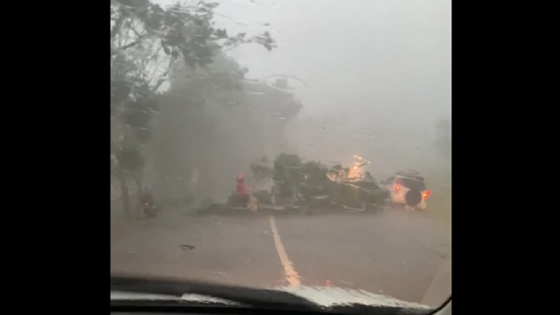 Badai Terjang Luwu Timur Terekam Kamera, Pohon Tumbang dan Atap Beterbangan