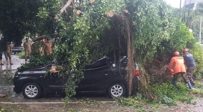 Hujan Es Disertai Angin Kencang Terjang Sidoarjo, Banyak Pohon Tumbang