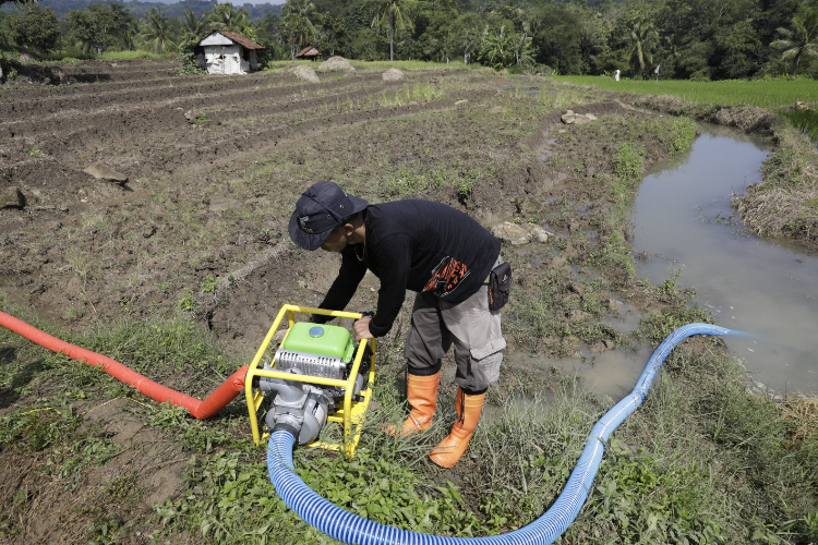 Jokowi Sebut RI Tak Lagi Swasembada Pangan gegara Hal Ini   