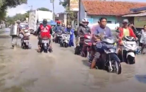 Banjir Luapan Sungai Cisanggarung Rendam 8 Desa di Brebes, Warga Mengungsi