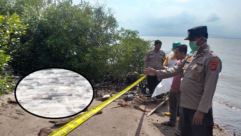 Pemuda di Serang Kabur dari Rumah karena Tak Dibelikan HP, Ditemukan Tewas di Pantai