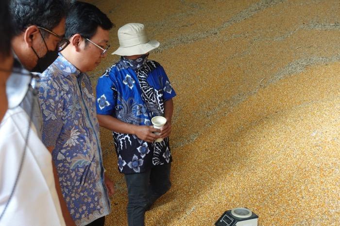 RI Setop Impor Jagung! Apa Alasannya?