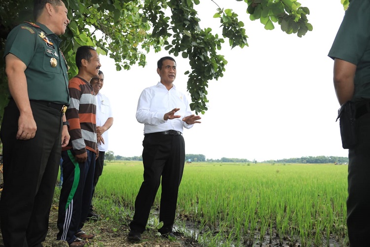 Demi Pangan dan Petani Indonesia, Mentan Amran Siap Refocusing Anggaran