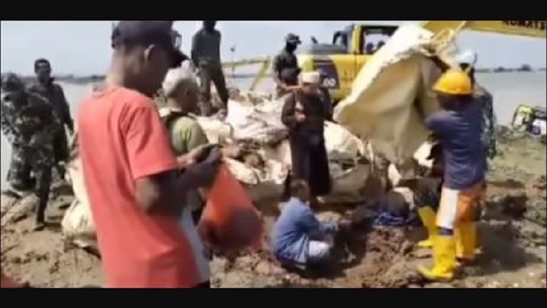 Viral Video Ritual Wedhus Kendit di Demak, Warga Sembelih Kambing di Lokasi Tanggul Jebol