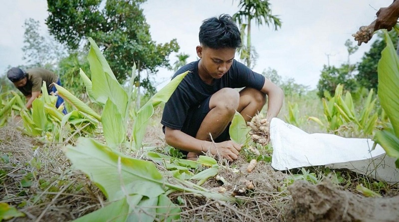 Simak Cerita Desa Ibru Muaro Jambi, Pemenang Desa BRILiaN Paling Inovatif