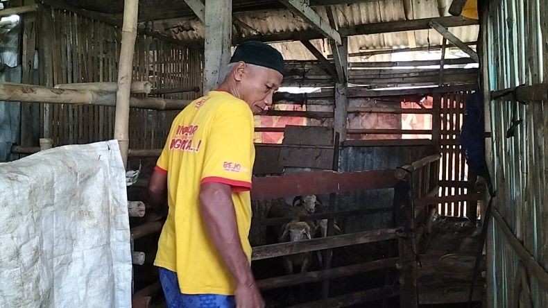 2 Kambing Milik Warga Depok Hilang, Tersisa Jeroan di Kandang