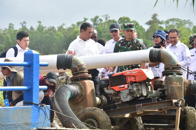 Mentan Amran Cek Pompanisasi di Merauke, Targetkan Pertanian Modern