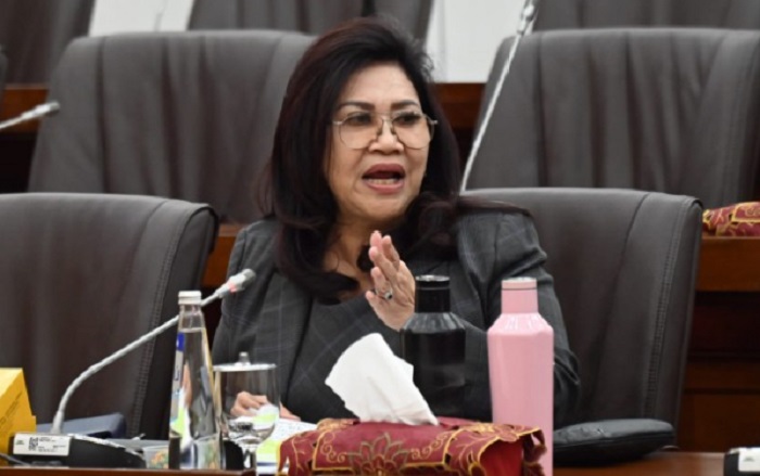 DPR Minta Mendag Segera Tuntaskan Aturan Terkait Barang Bawaan Penumpang