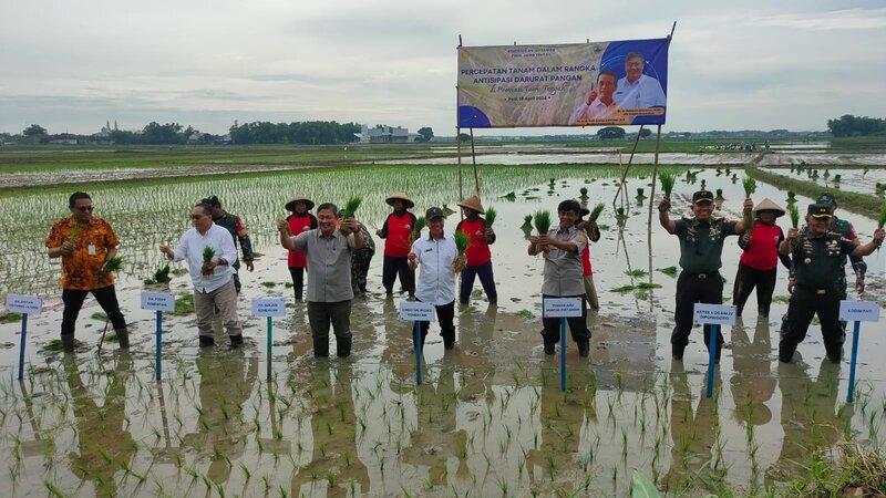 Sekjen Kementan Gelar Percepatan Tanam Padi di Kabupaten Pati
