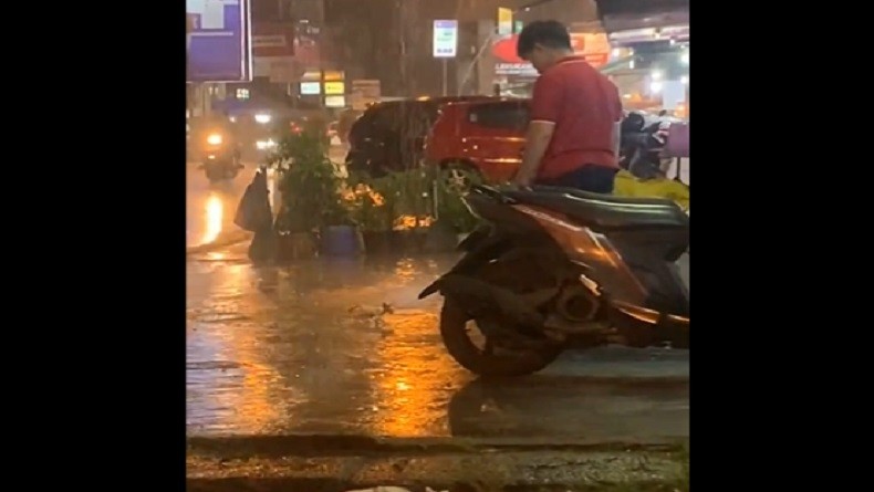 Viral Pria Tendang Anak Kucing hingga Terpental saat Hujan, Warganet Geram: Jahat Banget!