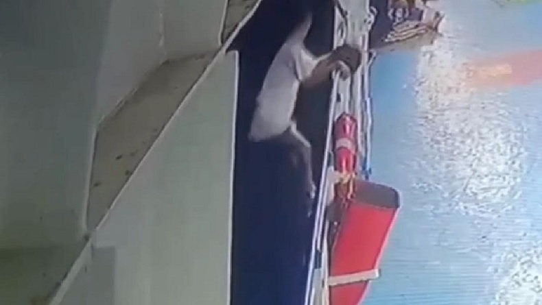 Viral Video Detik-Detik Pria Nekat Lompat ke Laut dari Atas Kapal, Pencarian Masih Dilakukan