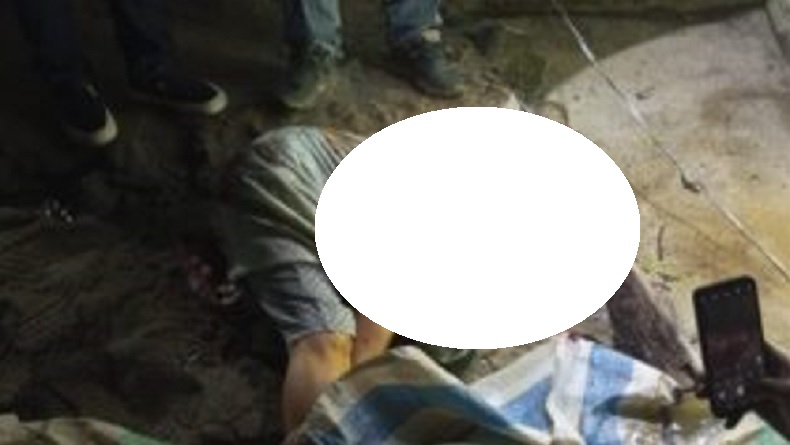 Wanita Lansia di Madina Tewas Mengenaskan Diterkam Harimau di Belakang Musala
