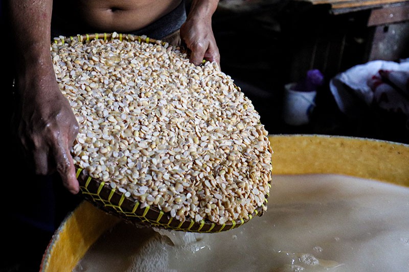 Kementan Jaga Stabilitas Kedelai, Harga Acuan Disepakati Rp11.500 per Kg