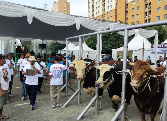 Perdana di Jakarta, APPSI Sukses Gelar Kontes dan Expo Sapi Piala Pimpinan MPR 2024