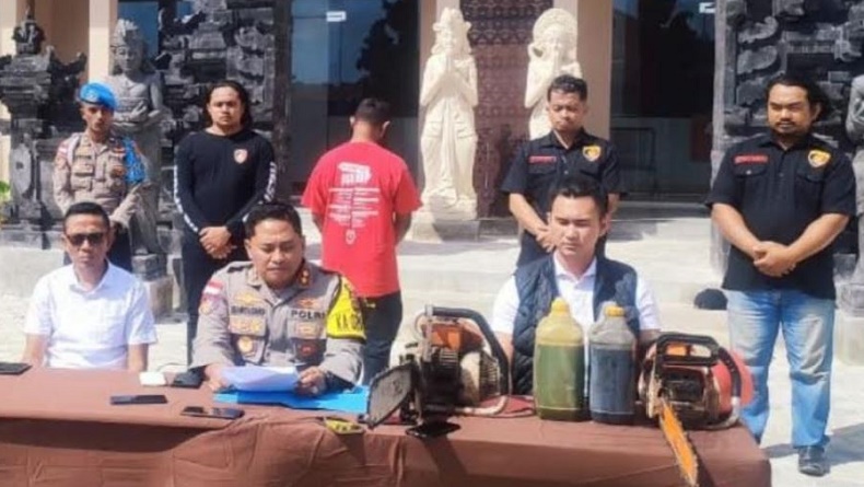 Tebang Pohon di Hutan Lindung, Pria di NTT Ditangkap Polisi