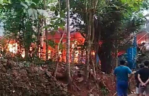 Kandang Berisi 8.000 Ekor Ayam di Bantul Ludes Terbakar, Kerugian Rp350 Juta