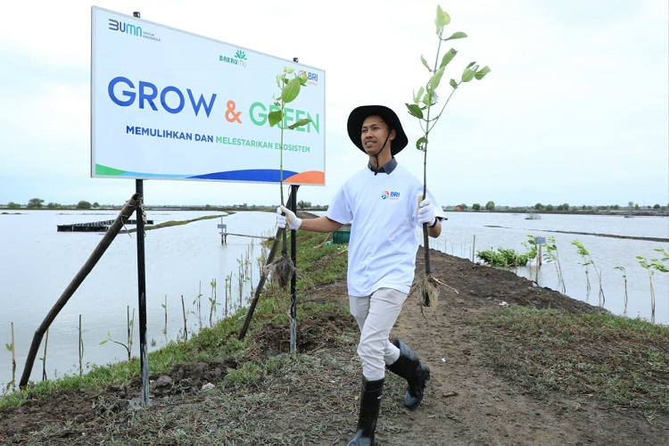 Komitmen Terapkan ESG, BRI Masuk dalam Daftar Green Business Ratings 2024