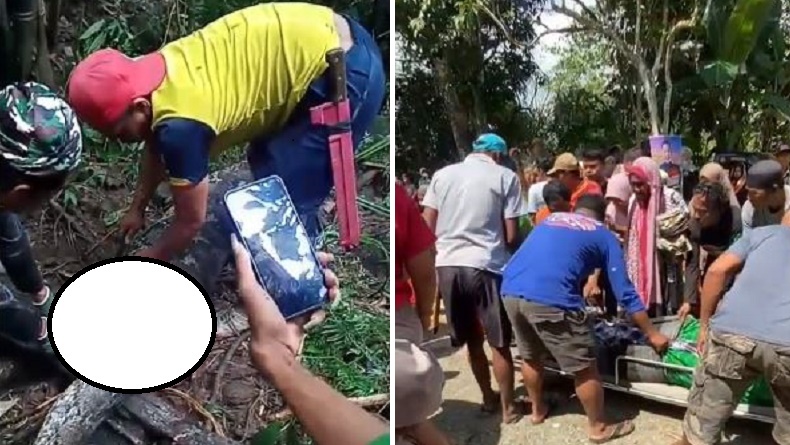 Ngeri! Ular Piton 5 Meter Makan Warga di Sidrap, Tubuh Korban Ditemukan dalam Perut