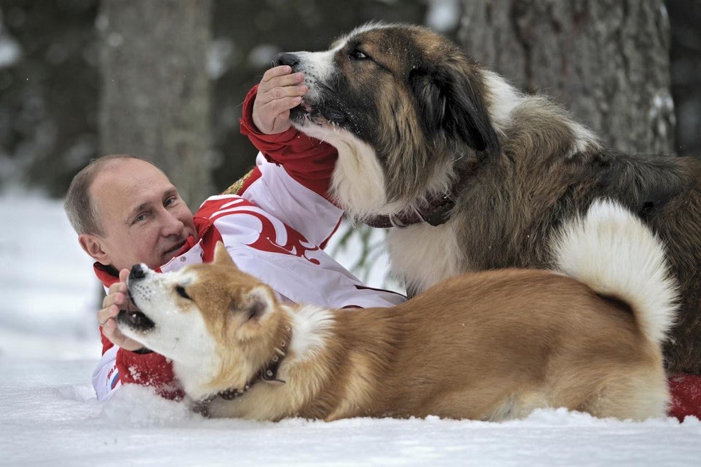 Dapat Hadiah Anjing Ras Pungsan dari Kim Jong Un, Putin Ternyata Pencinta Hewan!