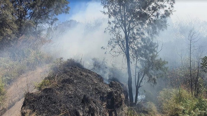Terungkap! Gunung Bromo Ternyata Sudah 2 Hari Terbakar, Diduga akibat Ulah Manusia