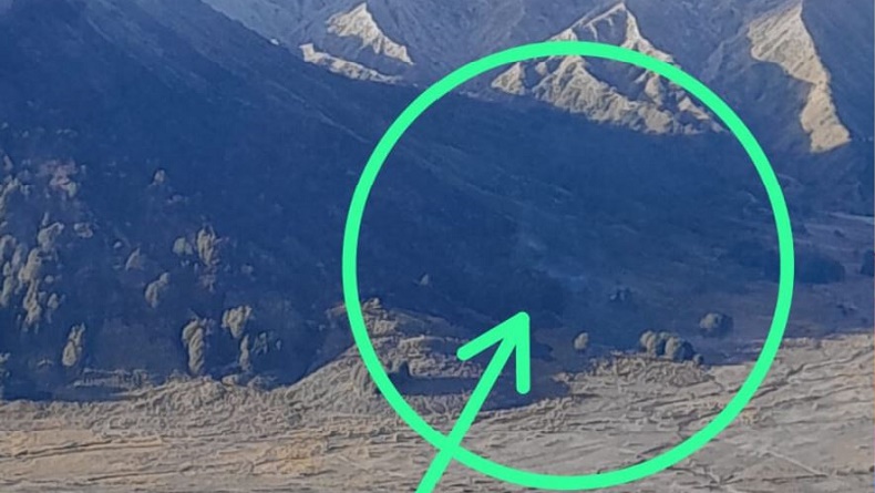 BNPB: 50 Hektare Lahan Terbakar di Gunung Bromo, Sumber Api Masih Diselidiki