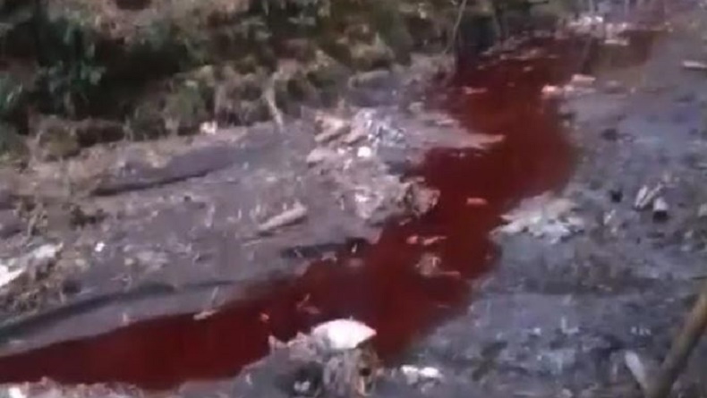 Terungkap, Ini Dugaan Penyebab Air Sungai Berubah Warna Merah seperti Darah di Malang