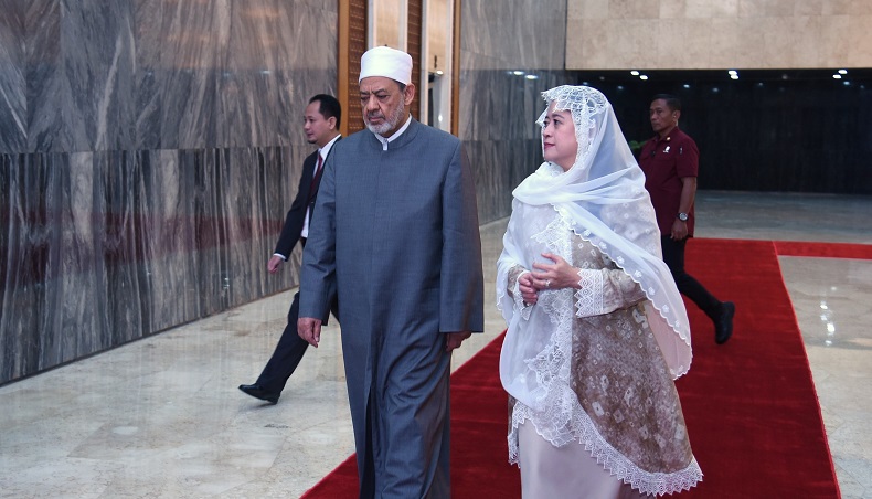 Puan Maharani Bertemu Imam Besar Al-Azhar Mesir, Ajak Kerja Sama untuk Perdamaian Palestina