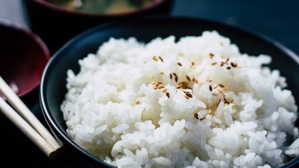 Mikha Tambayong Berhenti Makan Nasi sejak 2012, Ini Manfaatnya untuk Tubuh
