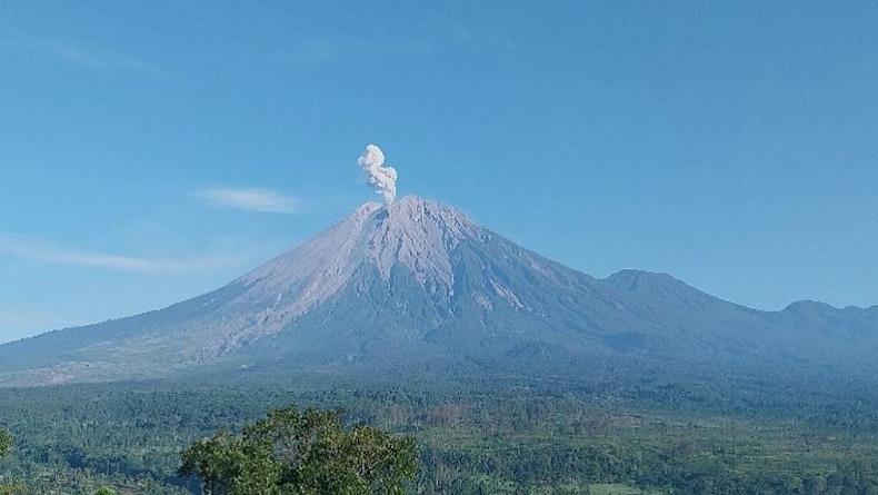 Gunung Semeru Erupsi Hari Ini, Tinggi Kolom Abu 800 Meter di Atas Puncak