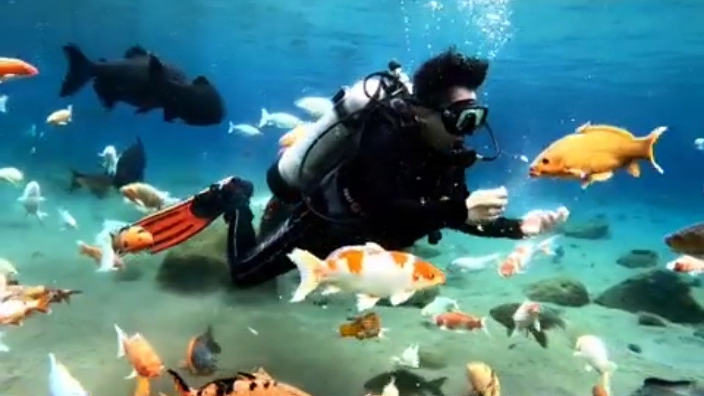 6 Desa di Klaten Harus Dikunjungi Minimal Sekali Seumur Hidup, Sungainya Jernih Bisa Snorkeling  