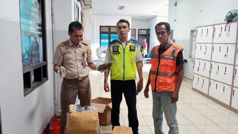 Balai Karantina Sulsel Gagalkan Penyelundupan 61 Kg Teripang Susu asal NTT
