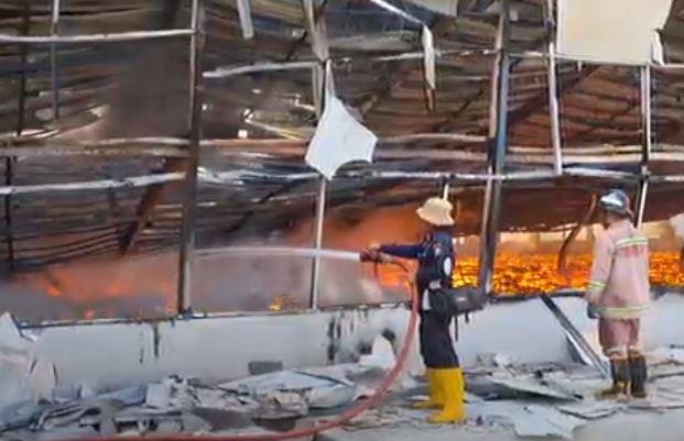 Peternakan di Tulungagung Ludes Terbakar, 63.000 Ekor Ayam Hangus Terpanggang