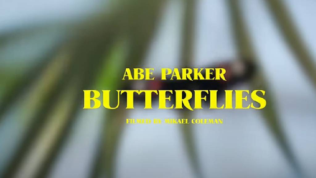 Makna Lagu Butterflies Abe Parker, Rasa Gugup di Kala Jatuh Cinta