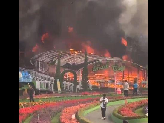 Kesaksian Warga saat Taman Bunga Celosia Bandungan Terbakar, Diawali Ledakan