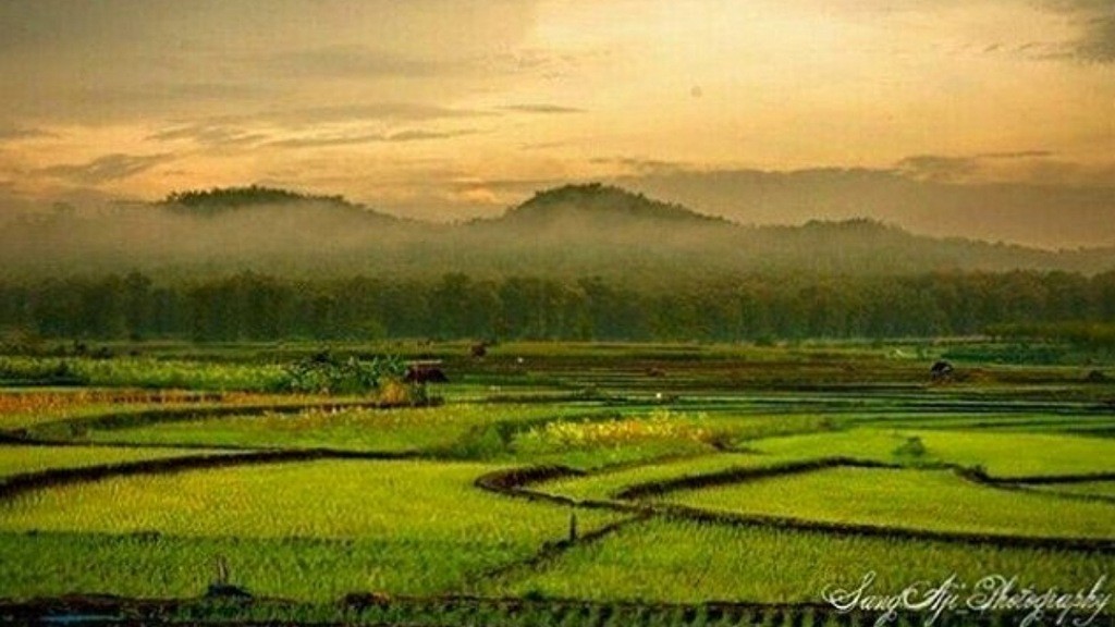 5 Desa di Blora Punya Pemandangan Menakjubkan, Ada Terasering Suasananya seperti di Bali