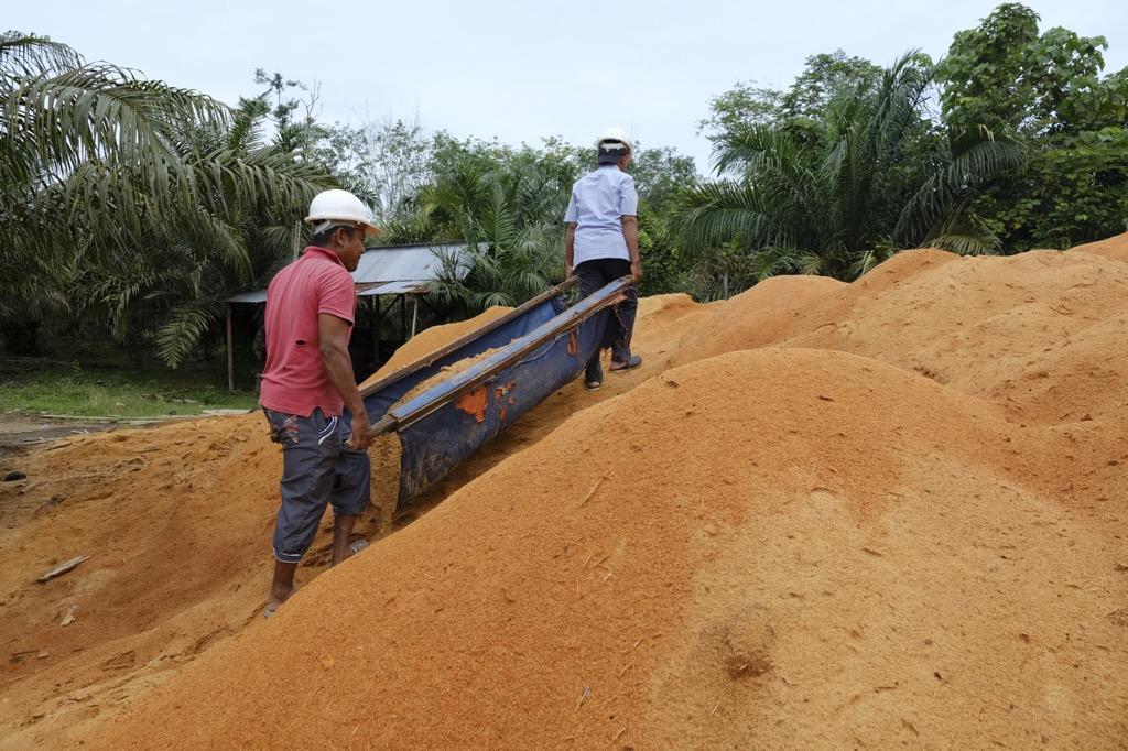 PLN Indonesia Power Sulap Serbuk Kayu jadi Bahan Bakar Pengganti Batu Bara