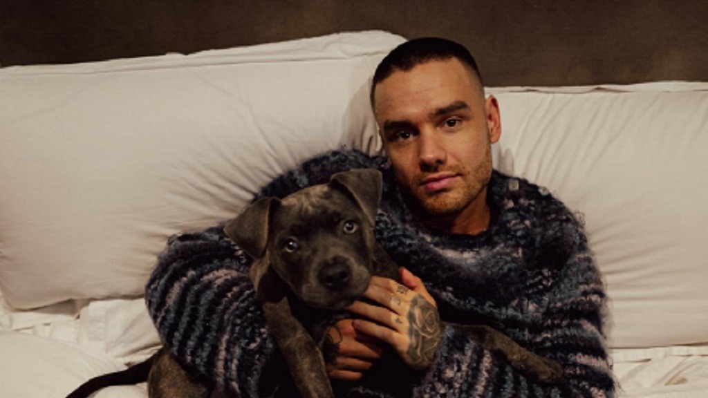 3 Orang Jadi Tersangka Kematian Liam Payne, Apa Perannya?