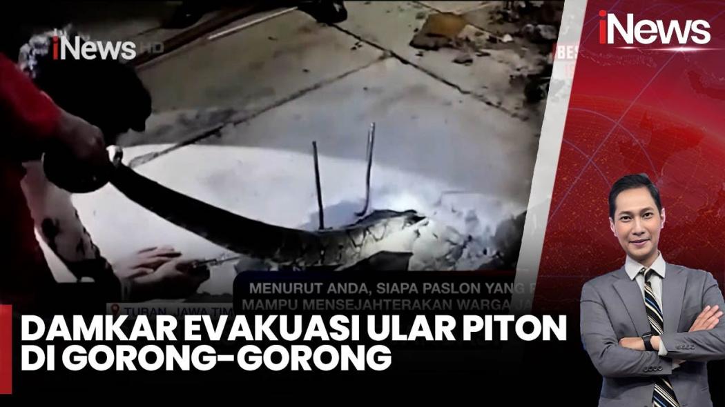 Ngeri! Ular Piton Sepanjang 4,5 Meter Teror Warga