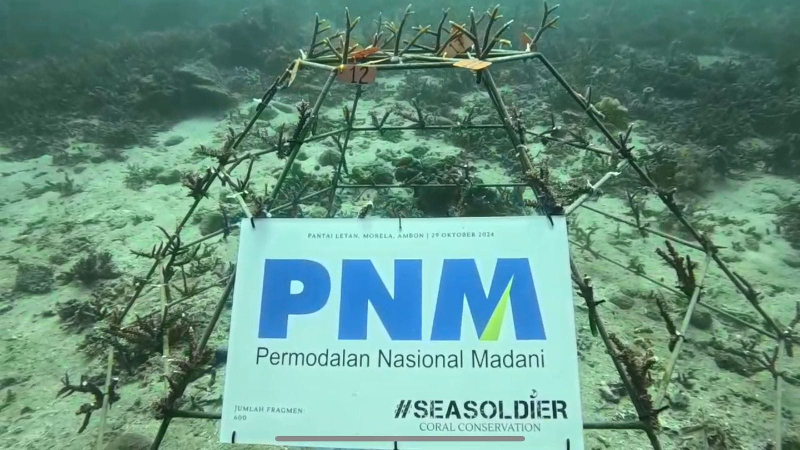 Peringati Sumpah Pemuda, PNM Ajak Generasi Muda Konservasi Terumbu Karang di Ambon