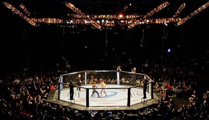 Asal-usul Octagon, Arena Pertumpahan Darah Petarung UFC