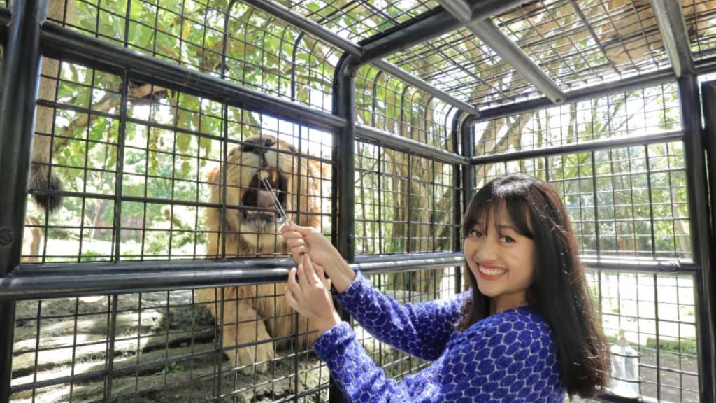 3 Jalur Alternatif ke Taman Safari Prigen untuk Wisata Full Day Tanpa Macet