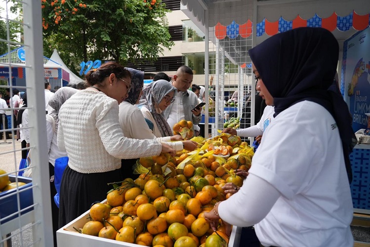 Kelompok Petani Jeruk di Bengkulu Jangkau Pasar Lebih Luas lewat Pemberdayaan BRI
