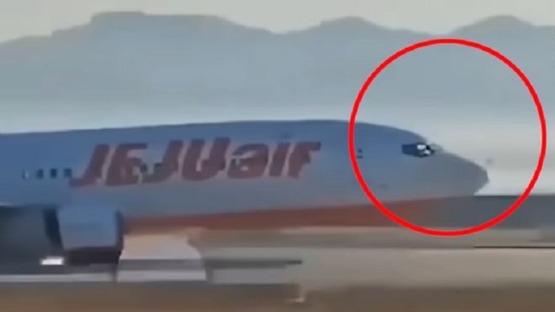 Viral Video Detik-Detik Terakhir Pilot Jeju Air Tarik Panel Kontrol di Kokpit sebelum Kecelakaan Tragis
