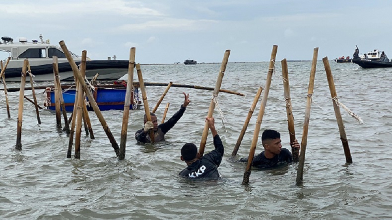 Sebagian Pagar Bambu Tangerang Diberikan ke Nelayan, Buat Tambak Kerang Hijau